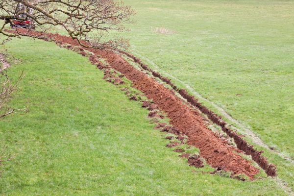 Cost of Swale Installation in Powell