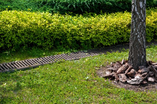 Cost of Residential Landscape Drainage in Powell