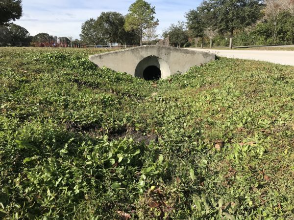 Cost of Swale Drainage Service in Powell
