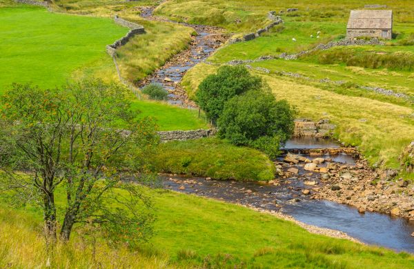 Cost of Swale Repair in Powell